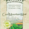 Bromley's Cool Mountain Mint, 24 Tea Bags, 34g