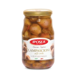 Iposea Lampascioni, Wild Onions In Oil, 18.70 Oz | 530g