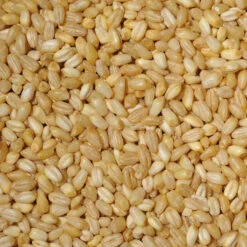 Pearled Wheat, 1 Lb