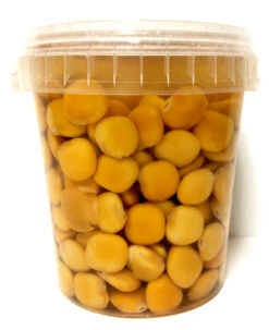 Lupini Beans Bucket 16 FL Oz