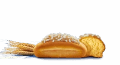 Bauli Buondoi Classic, 6pk 198g - 6.98 Oz -Piccolos Gastronomias dettaglio classico