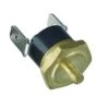 Didiesse Frog 95 C° Pilot Thermostat, Code FR019